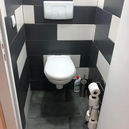 10 Couchages Bord Rando/ski 公寓 勒利然